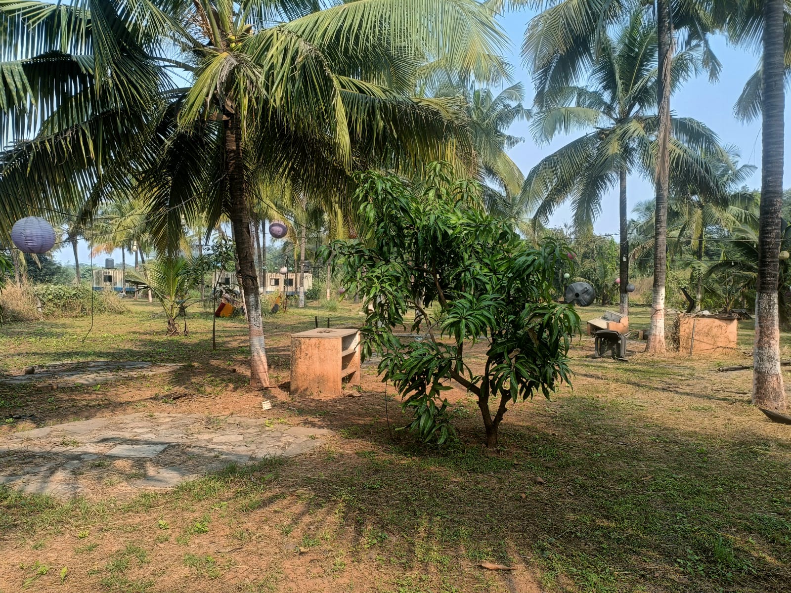 Explore our premier platform dedicated to commercial real estate, offering a wide array of properties available for sale and rental. From bustling office spaces to dynamic retail storefronts and industrial warehouses, our curated listings cater to diverse business needs and aspirations. Whether you're looking to invest in a prime commercial property or seeking the perfect space to grow your business, our website provides unparalleled access to opportunities that drive success. Discover the ideal commercial property to elevate your business ventures today